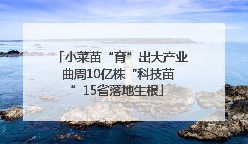 小菜苗“育”出大产业 曲周10亿株“科技苗”15省落地生根