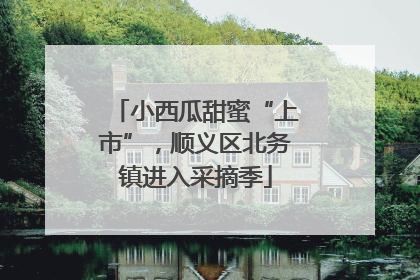 小西瓜甜蜜“上市”，顺义区北务镇进入采摘季