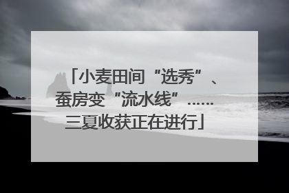 小麦田间“选秀”、蚕房变“流水线”……三夏收获正在进行