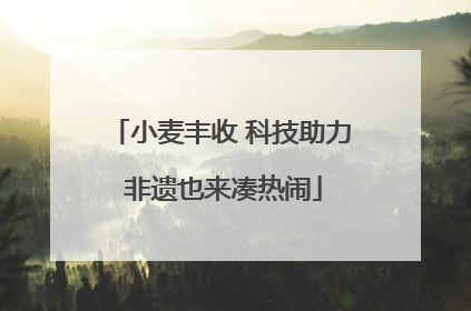 小麦丰收 科技助力 非遗也来凑热闹