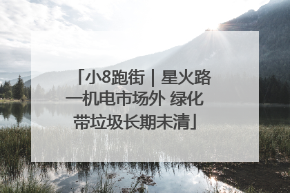 小8跑街｜星火路一机电市场外 绿化带垃圾长期未清