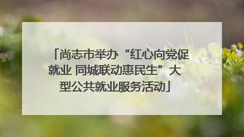 尚志市举办“红心向党促就业 同城联动惠民生”大型公共就业服务活动