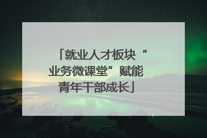 就业人才板块“业务微课堂”赋能青年干部成长