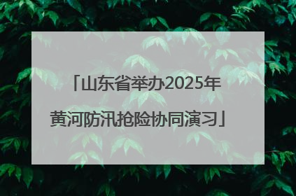 山东省举办2025年黄河防汛抢险协同演习