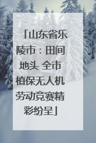 山东省乐陵市：田间地头 全市植保无人机劳动竞赛精彩纷呈