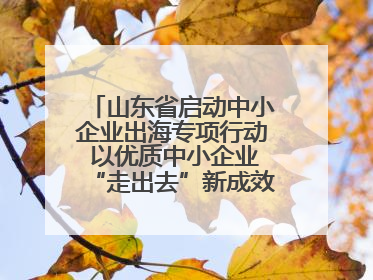 山东省启动中小企业出海专项行动 以优质中小企业“走出去”新成效展示山东产业发展新形象