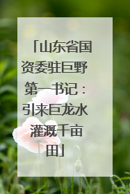 山东省国资委驻巨野第一书记：引来巨龙水 灌溉千亩田
