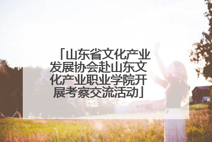 山东省文化产业发展协会赴山东文化产业职业学院开展考察交流活动