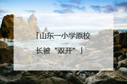 山东一小学原校长被“双开”