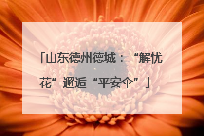 山东德州德城：“解忧花”邂逅“平安伞”