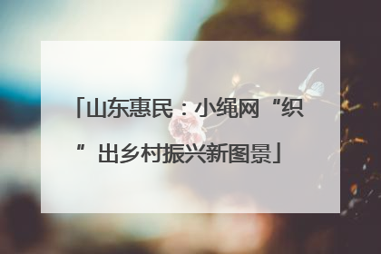 山东惠民：小绳网“织”出乡村振兴新图景