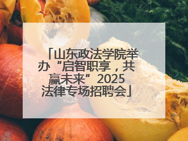 山东政法学院举办“启智职享，共赢未来”2025法律专场招聘会