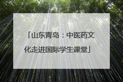 山东青岛：中医药文化走进国际学生课堂