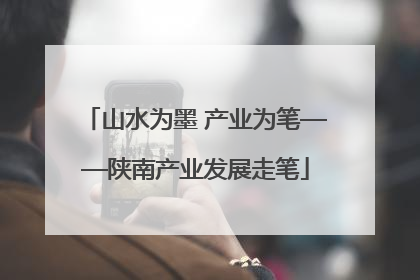 山水为墨 产业为笔——陕南产业发展走笔