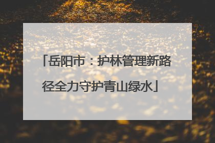 岳阳市：护林管理新路径全力守护青山绿水