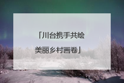 川台携手共绘美丽乡村画卷