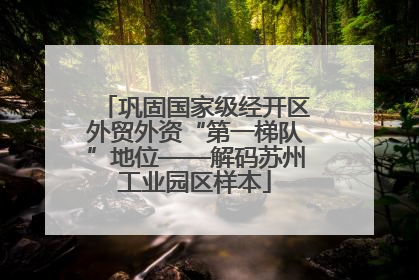 巩固国家级经开区外贸外资“第一梯队”地位——解码苏州工业园区样本