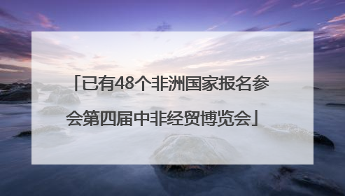 已有48个非洲国家报名参会第四届中非经贸博览会
