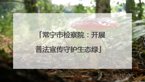 常宁市检察院：开展普法宣传守护生态绿