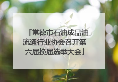 常德市石油成品油流通行业协会召开第六届换届选举大会
