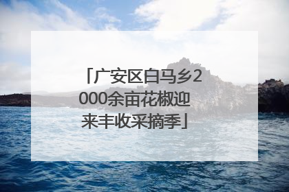 广安区白马乡2000余亩花椒迎来丰收采摘季