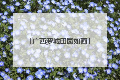 广西罗城田园如画