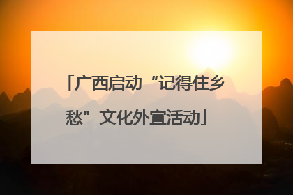 广西启动“记得住乡愁”文化外宣活动