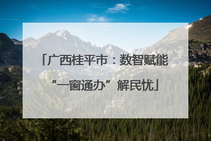 广西桂平市：数智赋能“一窗通办”解民忧