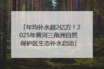 年均补水超2亿方！2025年黄河三角洲自然保护区生态补水启动