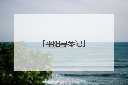 平阳寻琴记