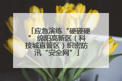 应急演练“硬碰硬” 绵阳高新区（科技城直管区）织密防汛“安全网”