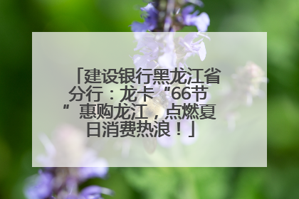建设银行黑龙江省分行：龙卡“66节”惠购龙江，点燃夏日消费热浪！