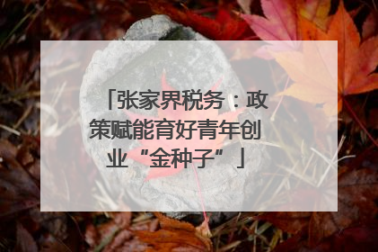 张家界税务：政策赋能育好青年创业“金种子”