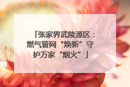 张家界武陵源区：燃气管网“焕新”守护万家“烟火”