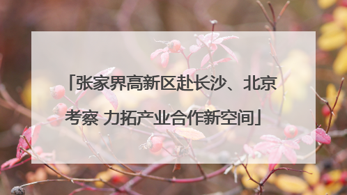 张家界高新区赴长沙、北京考察 力拓产业合作新空间