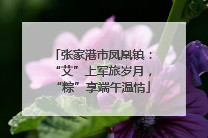 张家港市凤凰镇：“艾”上军旅岁月，“粽”享端午温情