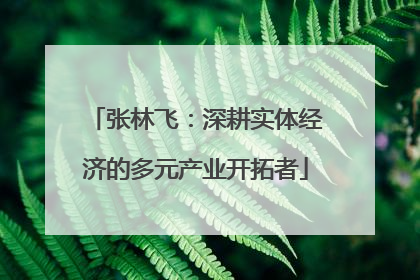张林飞：深耕实体经济的多元产业开拓者