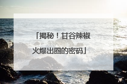 揭秘！甘谷辣椒火爆出圈的密码