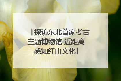 探访东北首家考古主题博物馆 近距离感知红山文化
