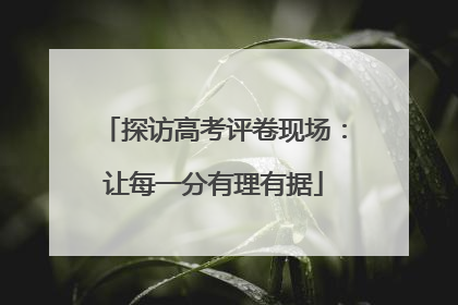 探访高考评卷现场：让每一分有理有据