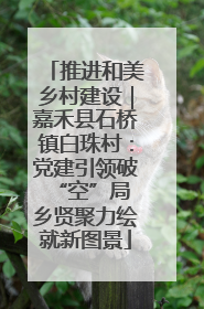 推进和美乡村建设｜嘉禾县石桥镇白珠村：党建引领破“空”局 乡贤聚力绘就新图景
