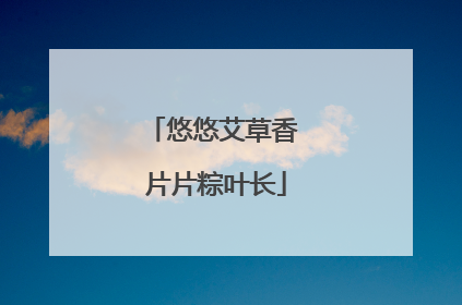悠悠艾草香 片片粽叶长