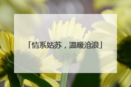 情系姑苏，温暖沧浪