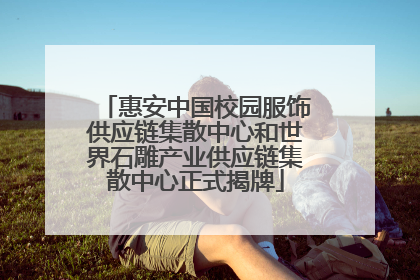 惠安中国校园服饰供应链集散中心和世界石雕产业供应链集散中心正式揭牌