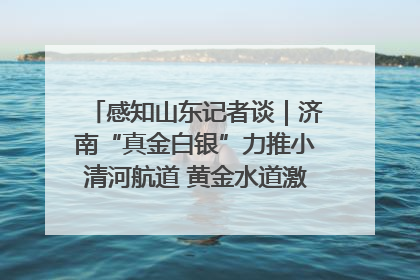 感知山东记者谈｜济南“真金白银”力推小清河航道 黄金水道激活区域经济新动能