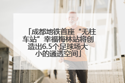 成都地铁首座“无柱车站”幸福梅林站将创造出6.5个足球场大小的通透空间