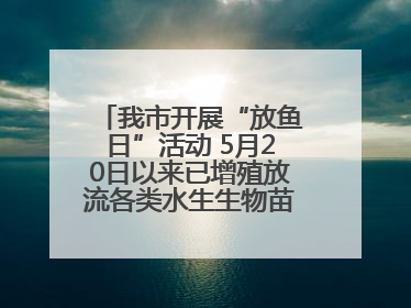 我市开展“放鱼日”活动 5月20日以来已增殖放流各类水生生物苗种5.1亿单位