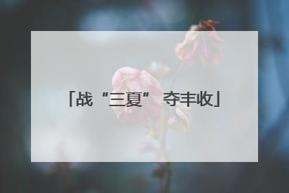 战“三夏” 夺丰收