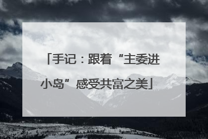 手记：跟着“主委进小岛”感受共富之美