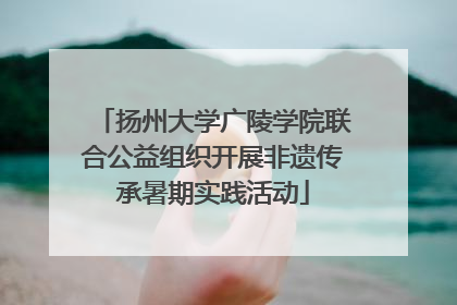 扬州大学广陵学院联合公益组织开展非遗传承暑期实践活动